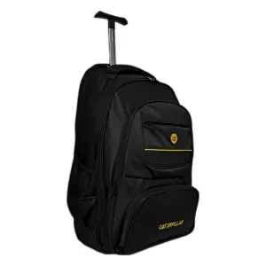 گو بگ آماده سالمند